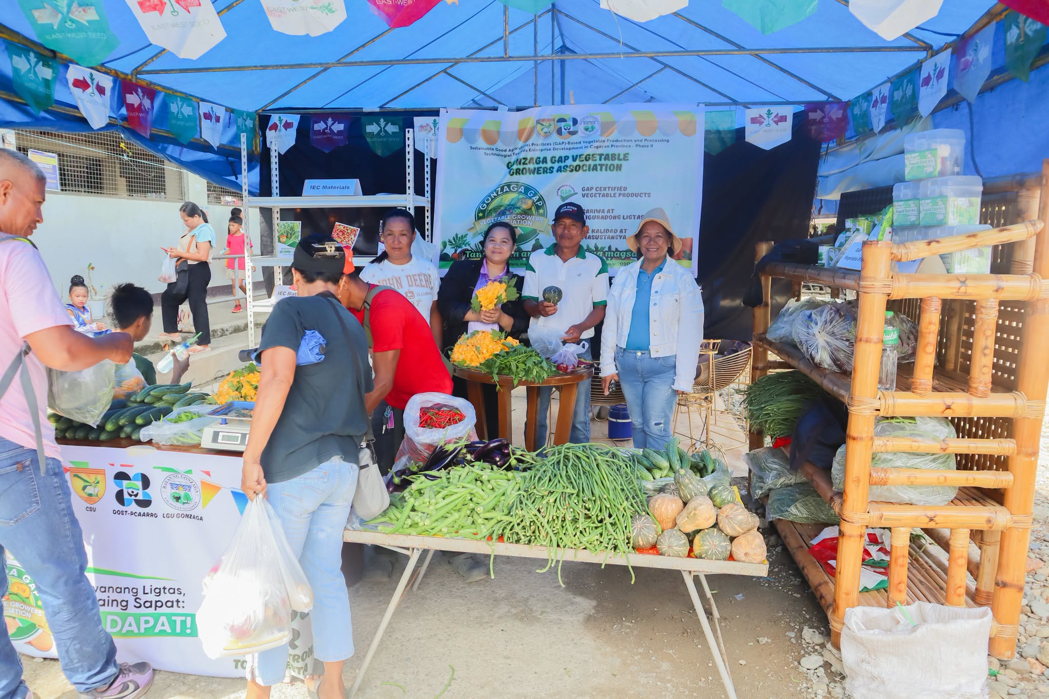 FROM FARM TO MARKET: GONZAGA GROWERS POST ₱44,105 SALES USING GAP-BASED VEGETABLE PRODUCTS photo 7